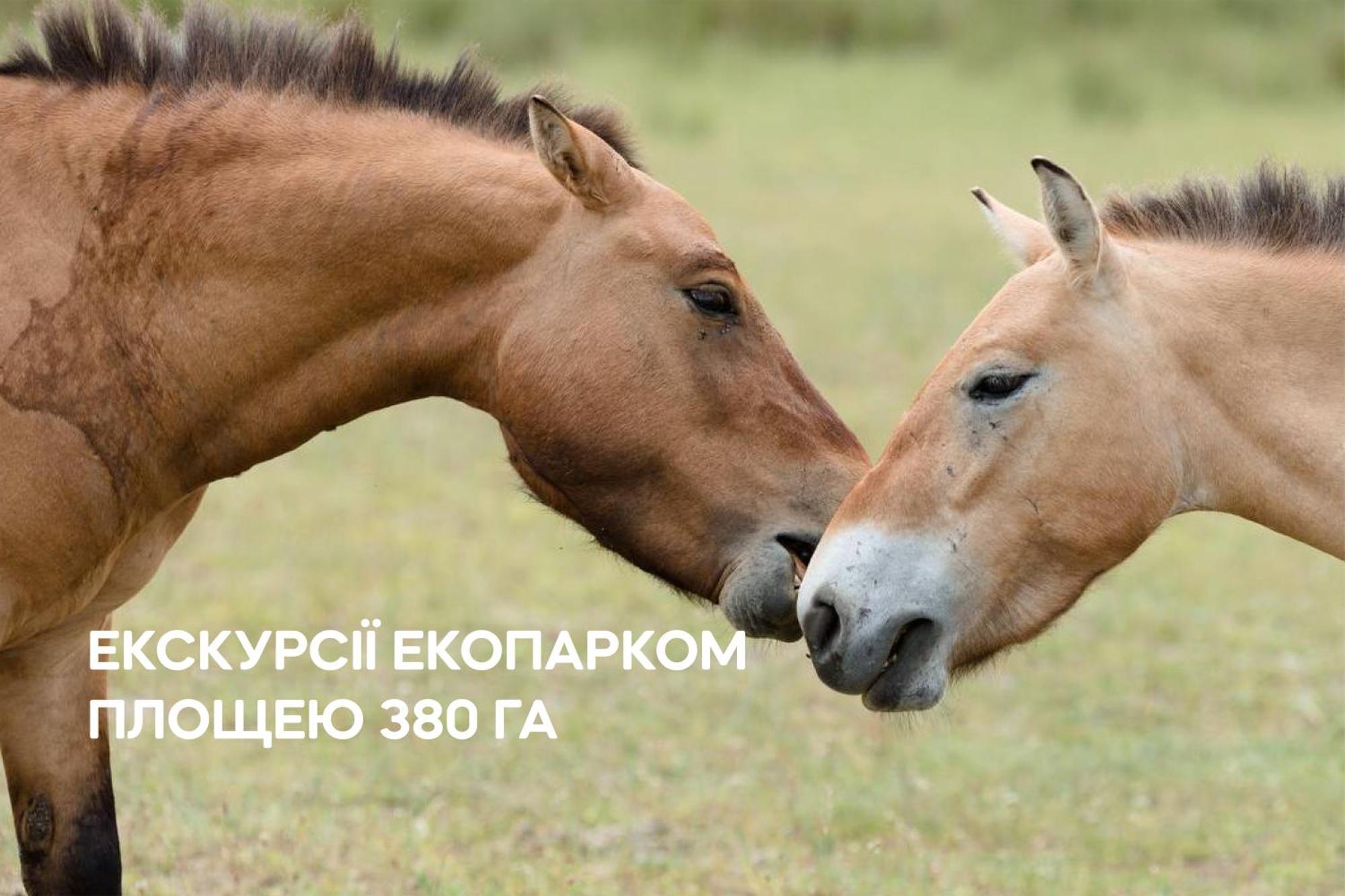 Sokolovka Dereville מראה חיצוני תמונה